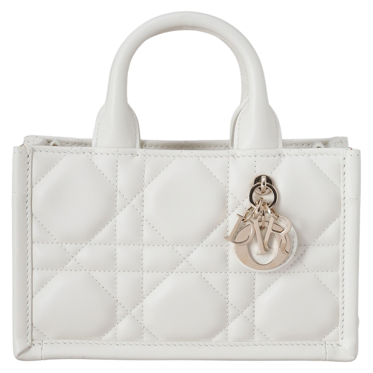 CHRISTIAN DIOR(USED)디올 레더 북토트 미니